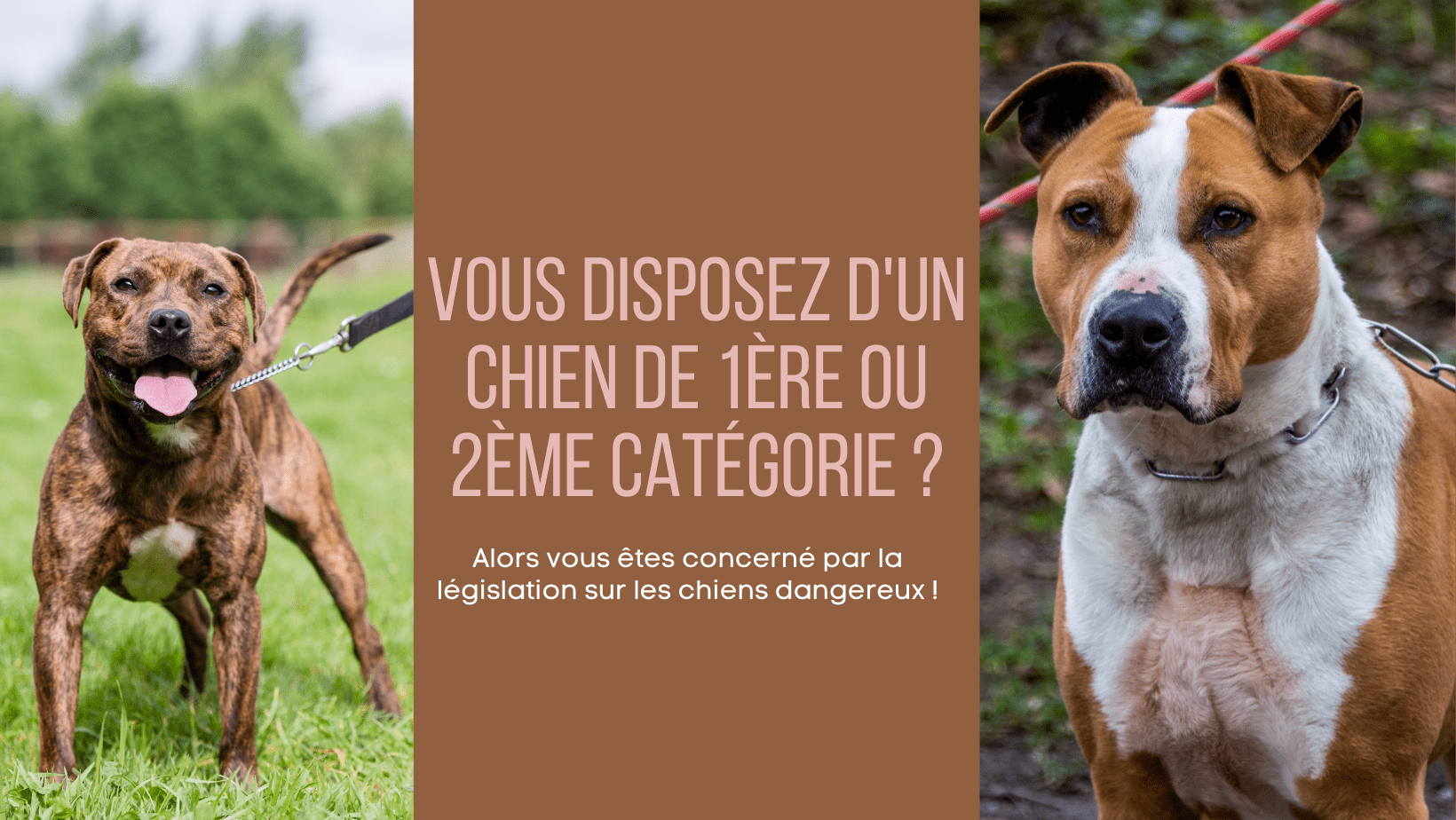 Juillan - Ville des Hautes-Pyrénées - Dossier de demande de délivrance d’un permis de détention d’un chien catégorisé