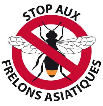 Campagne piégeage frelons asiatiques