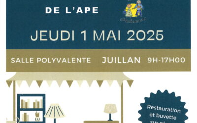 VIDE GRENIER APE