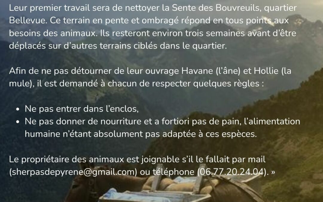 Partenariat avec les Sherpas de Pyrene  pour la tonte des terrains communaux