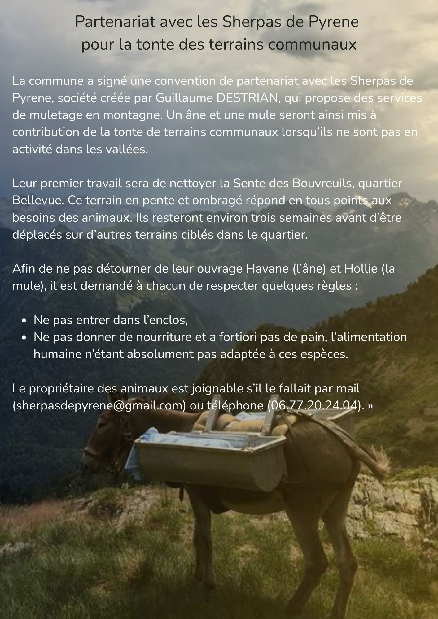 Juillan - Ville des Hautes-Pyrénées - Partenariat avec les Sherpas de Pyrene  pour la tonte des terrains communaux
