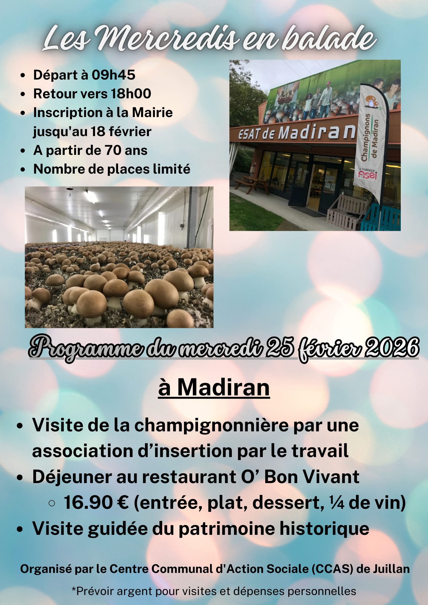 Juillan - Ville des Hautes-Pyrénées - Mercredi en balade du 25 février 2026