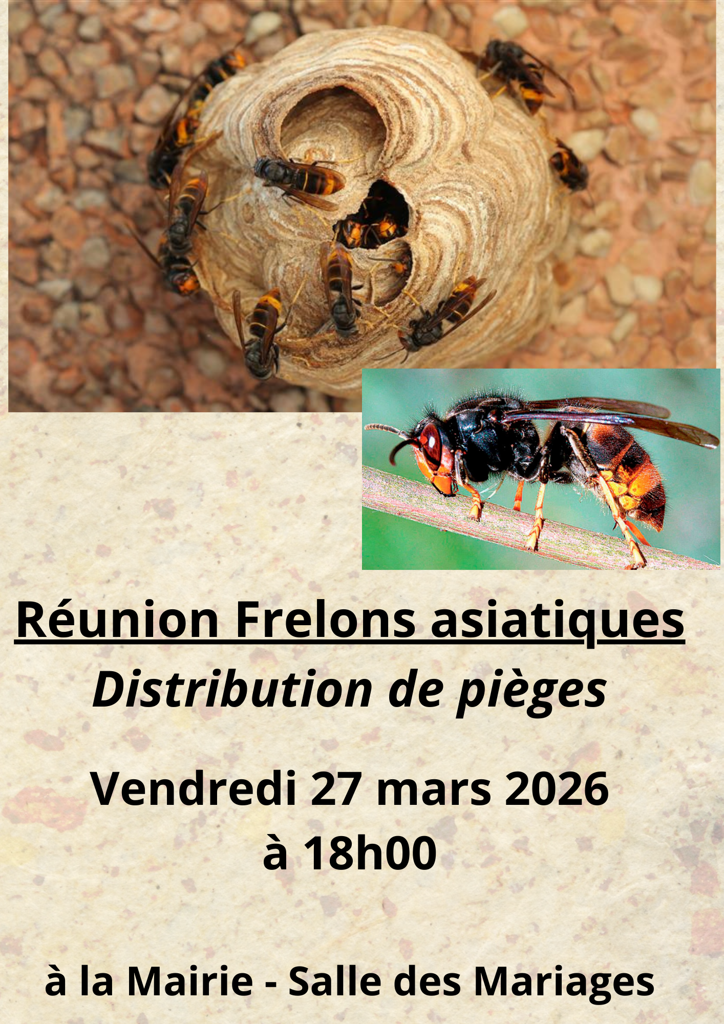 Juillan - Ville des Hautes-Pyrénées - Réunion Frelons asiatiques – distribution de pièges