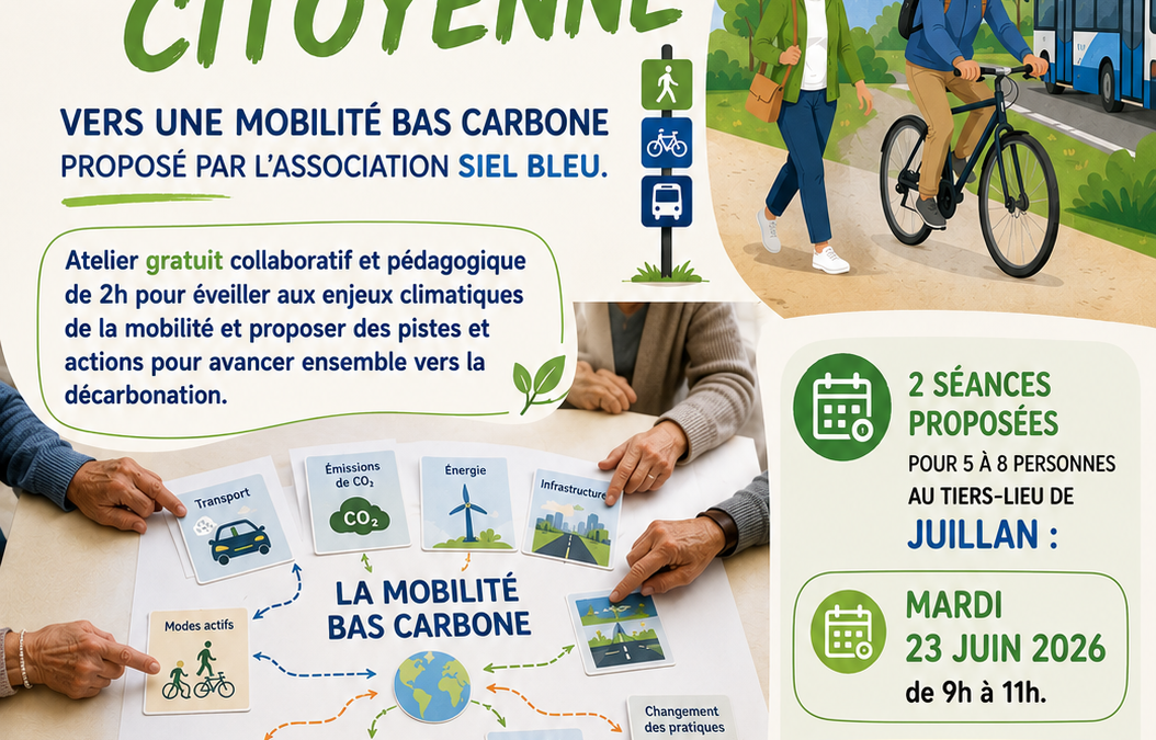 fresque de la mobilité citoyenne