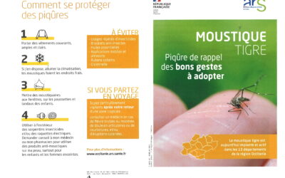 Moustique tigre – les bons gestes à adopter